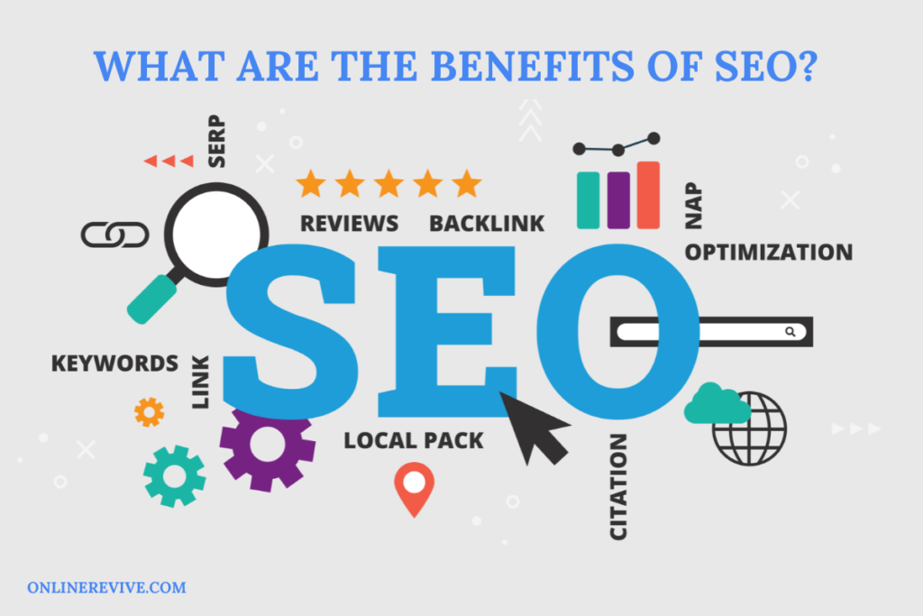 Search Engine Optimization Services In Vikaspuri